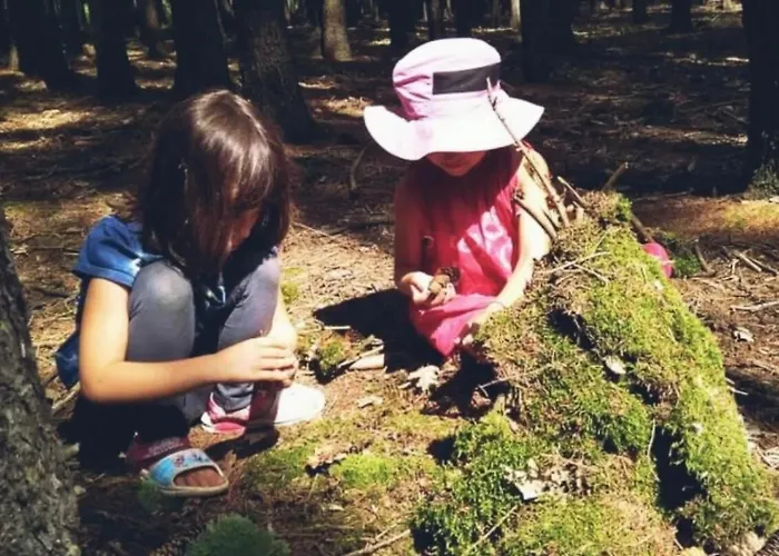 Relaxing Getaway - Newly Renovated *